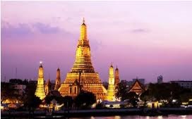 social_cruise12